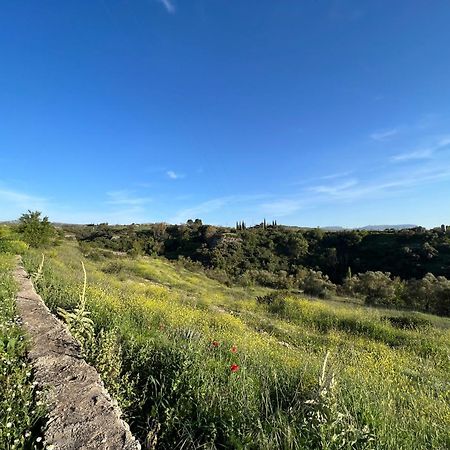 Villa Ignacia B&B - Naturaleza Entre Ronda Y Setenil Арриате Экстерьер фото