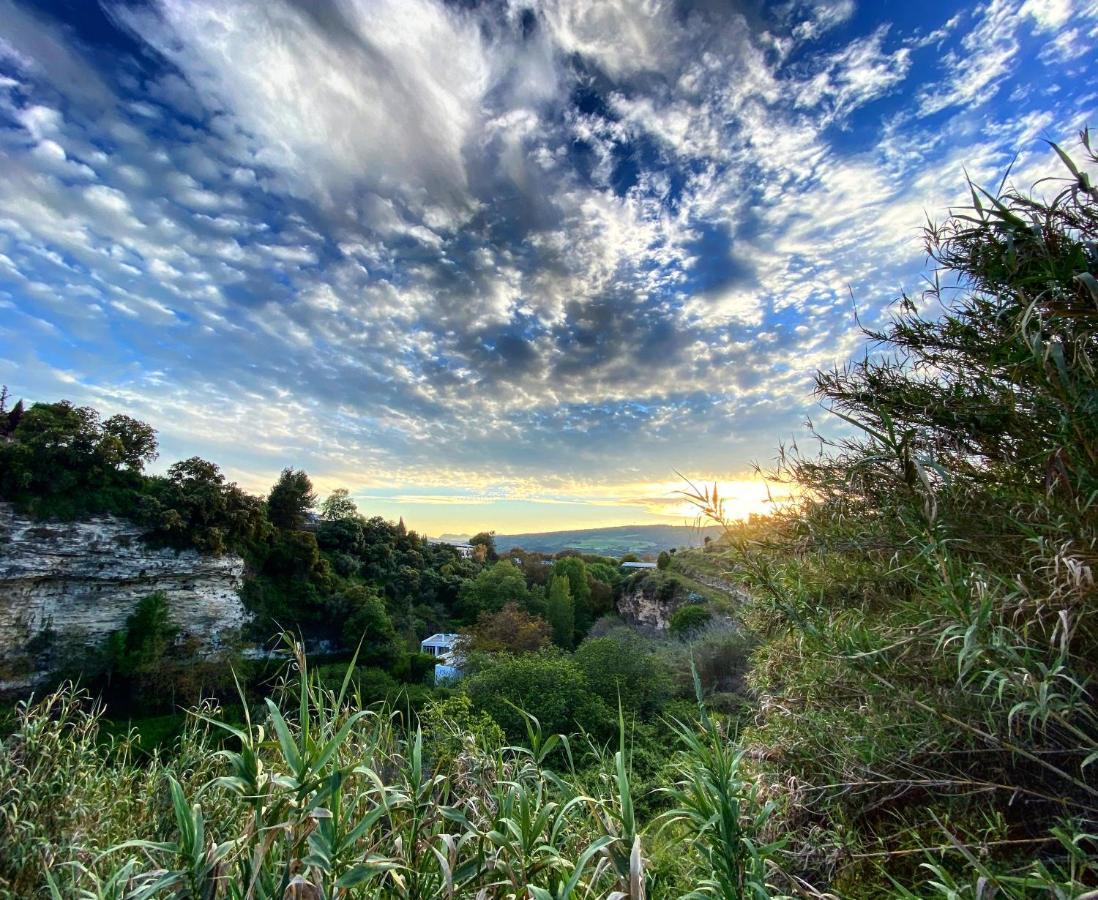 Villa Ignacia B&B - Naturaleza Entre Ronda Y Setenil Арриате Экстерьер фото