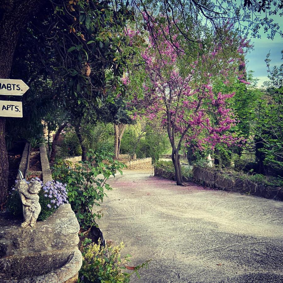 Villa Ignacia B&B - Naturaleza Entre Ronda Y Setenil Арриате Экстерьер фото