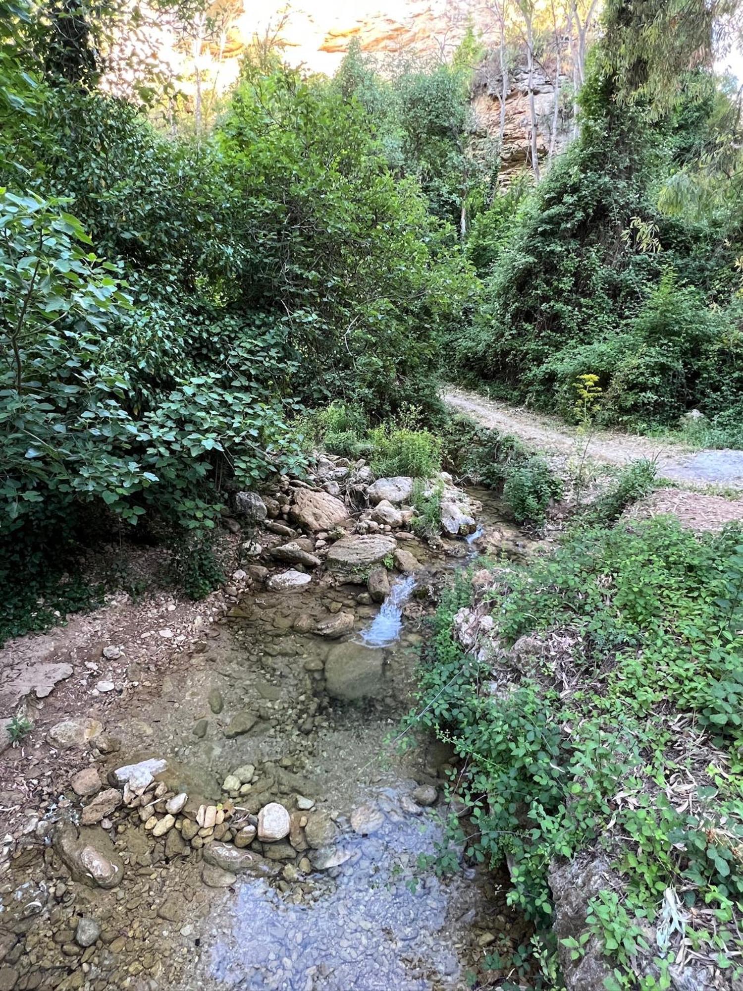 Villa Ignacia B&B - Naturaleza Entre Ronda Y Setenil Арриате Экстерьер фото